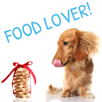 dog food lover