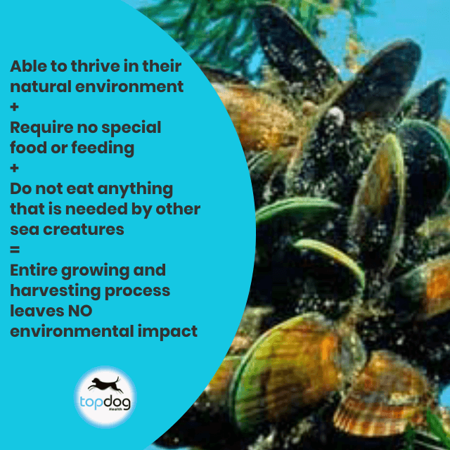 Information about the environmental impact of mussels