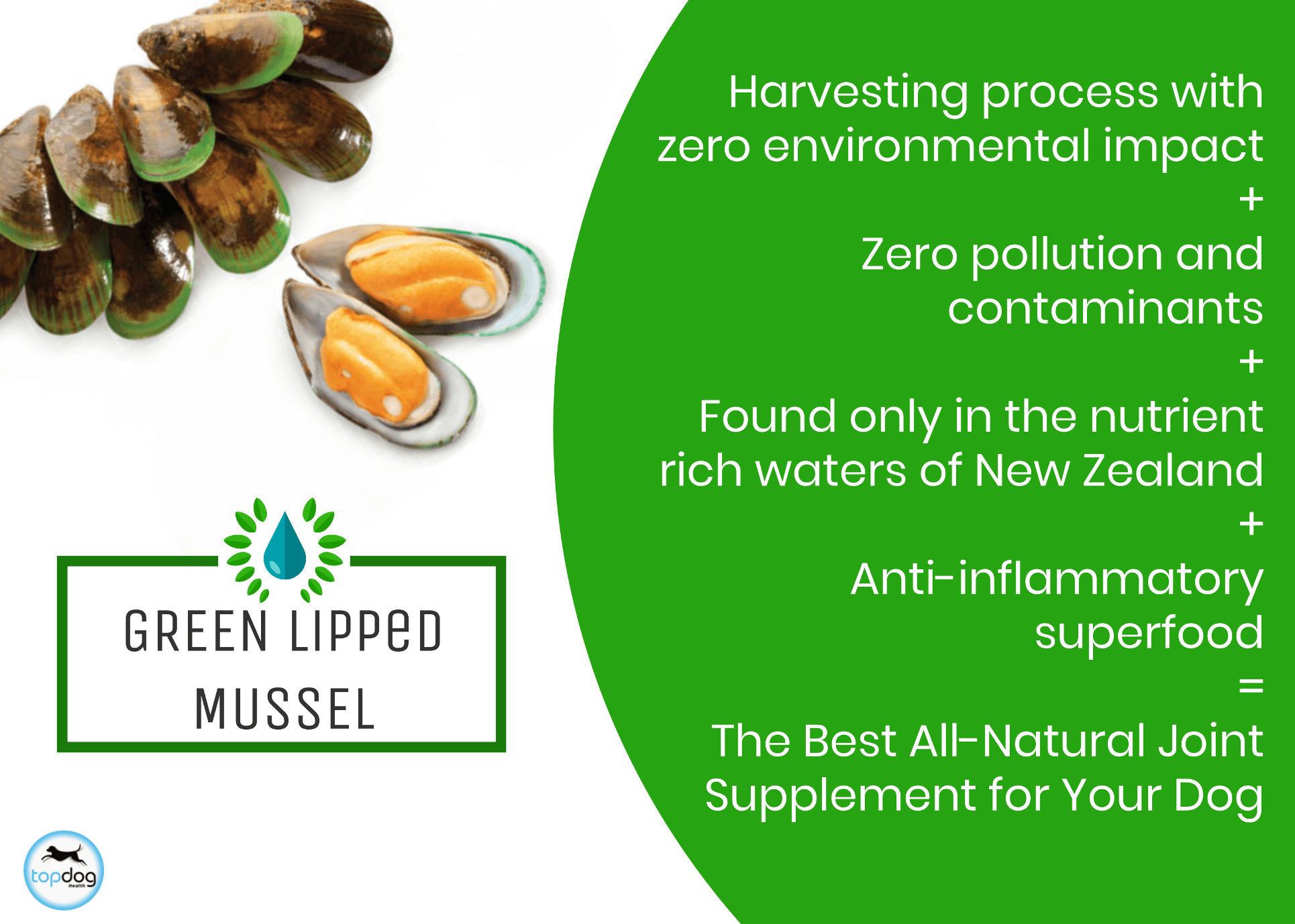 green lipped mussel oil is the ultimate joint supplement for dogs