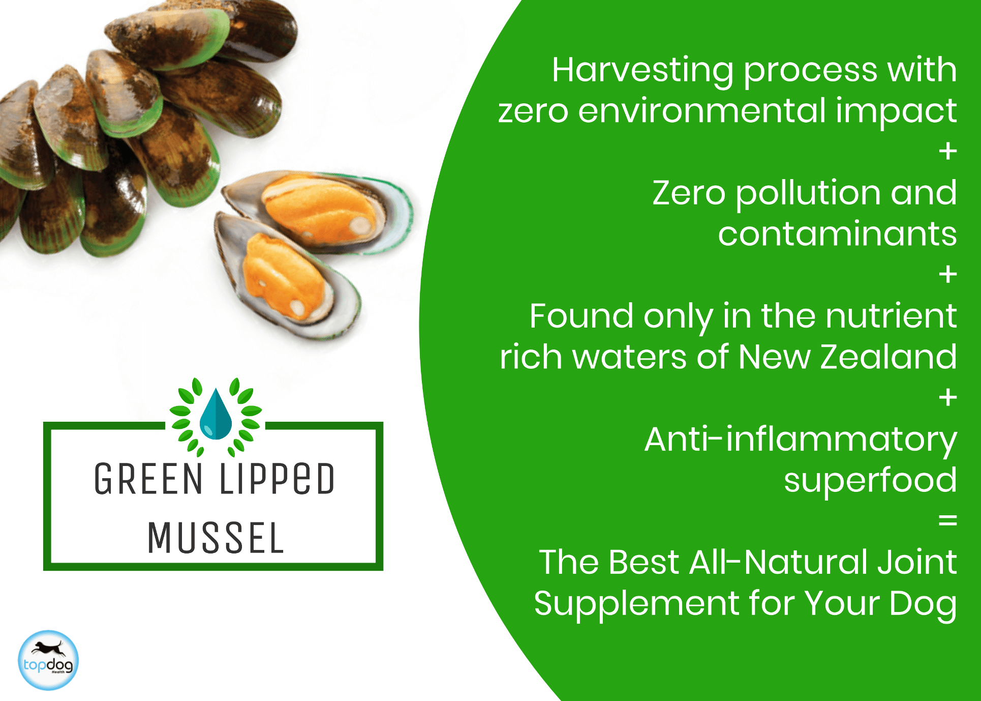 Green lipped mussel store extract for dogs