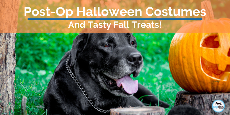 Post-Op Halloween Costumes & Tasty Treats