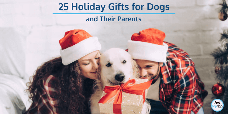 25 Holiday Gifts for Dogs (and Their Parents)