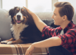 how dogs improve mental health feature image