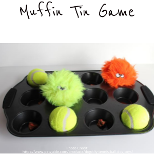 https://topdoghealth.com/wp-content/uploads/muffin-tin-game.png
