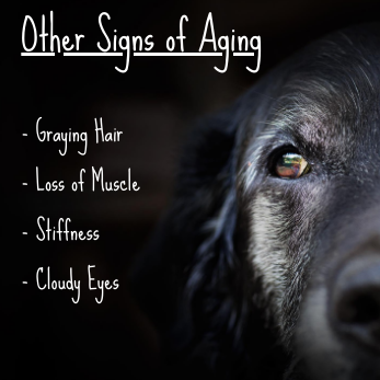 other signs of aging