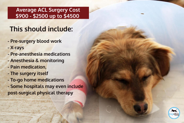 dog acl surgery cost