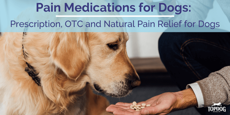 What Are Pain Meds For Dogs