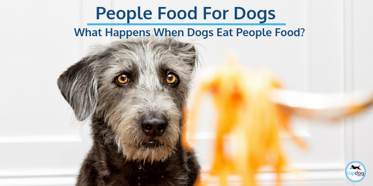 People Food for Dogs…