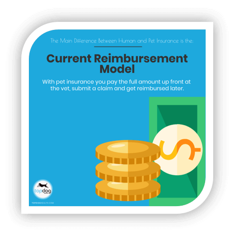 pet insurance reimbursement model