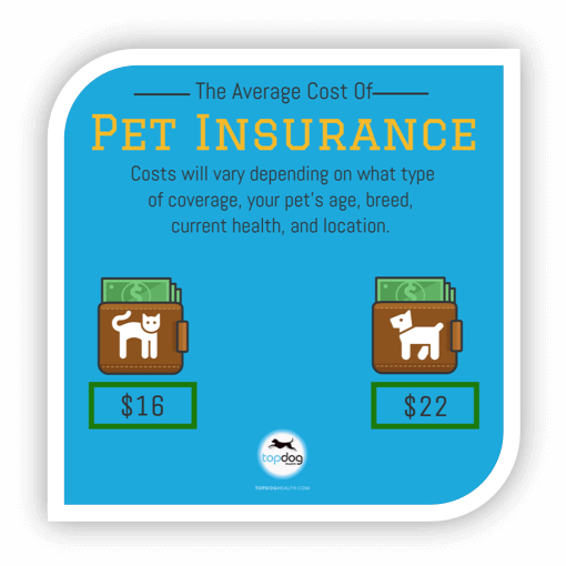 Cost of pet insurance for cats vs dogs