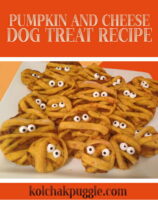 pumpkin halloween dog treats