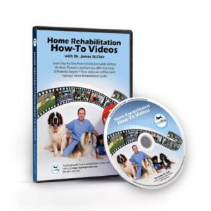 rehab dvd