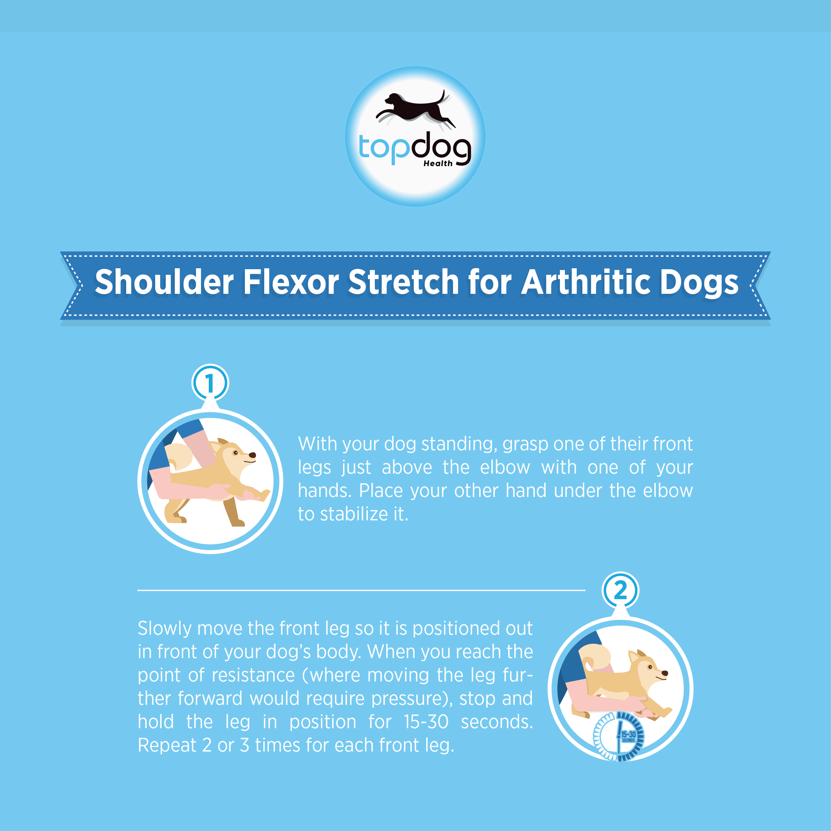 Shoulder Flexor Stretch