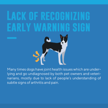 Why so many dog tear acl early warning signs