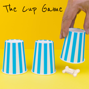 dog cup game