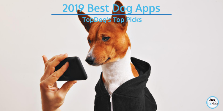 2019 Best Dog Apps