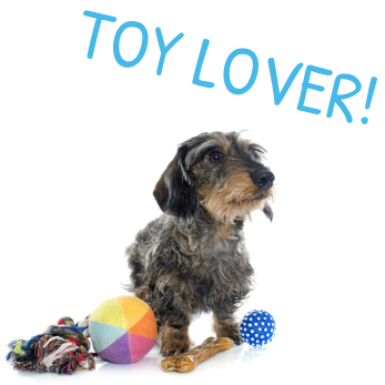 dog toy lover 