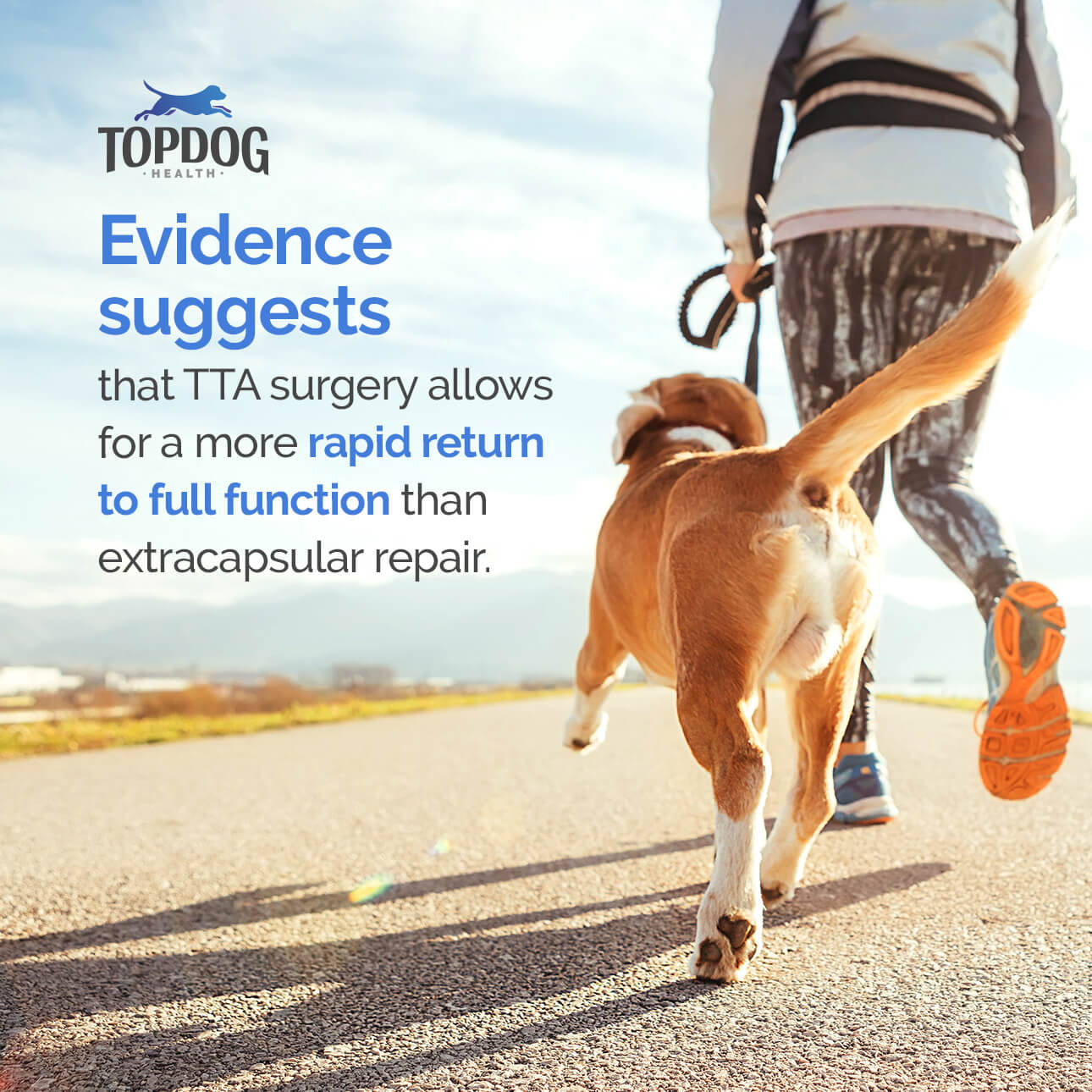 tta surgery allows for rapid return to function