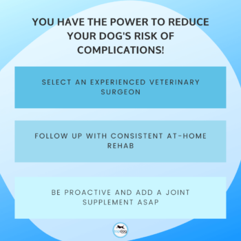 you have the power to reduce your dog's risk of complications! (1)